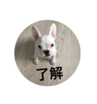 はい はい（個別スタンプ：6）