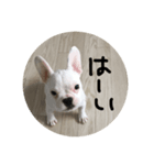 はい はい（個別スタンプ：8）