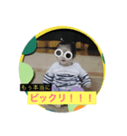 江原家の愉快な仲間たち（個別スタンプ：7）