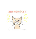 Grumpy cat Grumpy days part2（個別スタンプ：1）