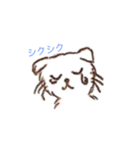 とあるネコ（個別スタンプ：5）