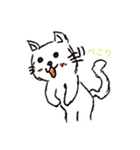 とあるネコ（個別スタンプ：8）