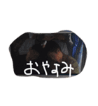 しょう物語（個別スタンプ：4）