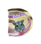mouses（個別スタンプ：4）