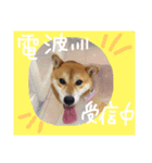 レオ太①（個別スタンプ：2）