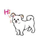 犬・バリとマリ（個別スタンプ：1）