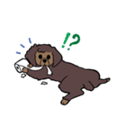 犬・バリとマリ（個別スタンプ：8）