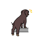 犬・バリとマリ（個別スタンプ：12）