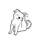 犬・バリとマリ（個別スタンプ：15）