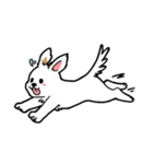 犬・バリとマリ（個別スタンプ：25）
