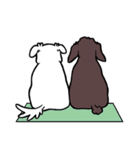 犬・バリとマリ（個別スタンプ：35）