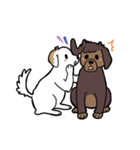 犬・バリとマリ（個別スタンプ：37）