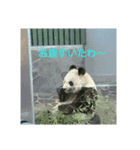 白石家の日常（個別スタンプ：3）