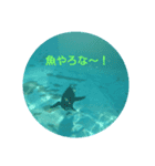 白石家の日常（個別スタンプ：4）