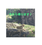白石家の日常（個別スタンプ：5）