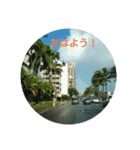 白石家の日常（個別スタンプ：8）