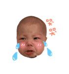 panglemon（個別スタンプ：1）