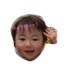 綾飛n（個別スタンプ：1）