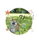 いくちゃん時々こうめ：2（個別スタンプ：16）