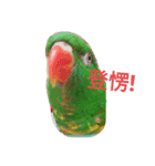 Cute＆Fat Bird（個別スタンプ：6）