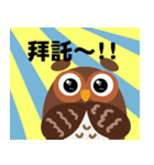 Owl's everyday（個別スタンプ：4）