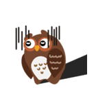 Owl's everyday（個別スタンプ：6）