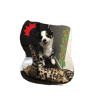 RikU dog（個別スタンプ：2）
