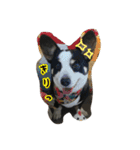 RikU dog（個別スタンプ：15）