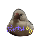 まろのちゅけ（個別スタンプ：2）