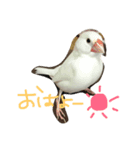 まろのちゅけ（個別スタンプ：5）