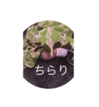 赤ちゃんがしゃべる（個別スタンプ：5）