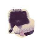 Daily Life of Two POMERANIANS（個別スタンプ：12）