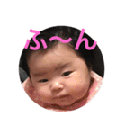 ひなたんといっしょ（個別スタンプ：1）