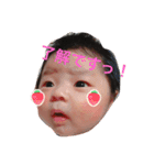 ひなたんといっしょ（個別スタンプ：8）