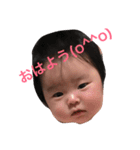 ひなたんといっしょ（個別スタンプ：13）