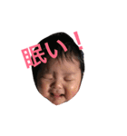 ひなたんといっしょ（個別スタンプ：16）