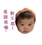 CC's Daily（個別スタンプ：5）