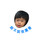CC's Daily（個別スタンプ：11）