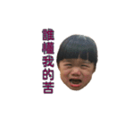 CC's Daily（個別スタンプ：19）