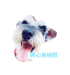 LuLu Daily（個別スタンプ：8）
