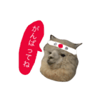 アルパカの結構使えるスタンプ（個別スタンプ：7）