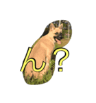 きなぶら（個別スタンプ：3）
