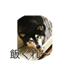 きなぶら（個別スタンプ：4）