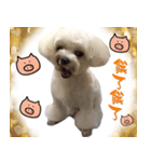 my doooog（個別スタンプ：5）