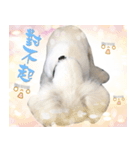 my doooog（個別スタンプ：6）