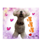 my doooog（個別スタンプ：7）
