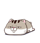 Ami-太った猫 可愛い（個別スタンプ：2）