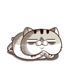 Ami-太った猫 可愛い（個別スタンプ：14）