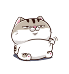 Ami-太った猫 可愛い（個別スタンプ：21）