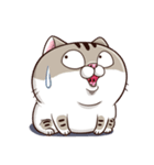 Ami-太った猫 可愛い（個別スタンプ：23）